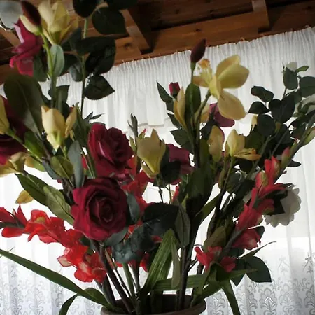 Stavros Amazing In The Centre Of 公寓 科斯镇