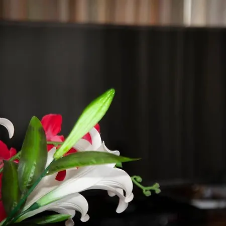 公寓 Stavros Amazing In The Centre Of 科斯镇