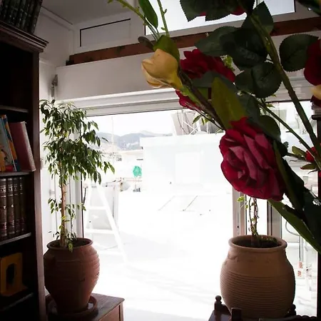 公寓 Stavros Amazing In The Centre Of *