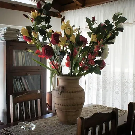 Stavros Amazing In The Centre Of 科斯镇