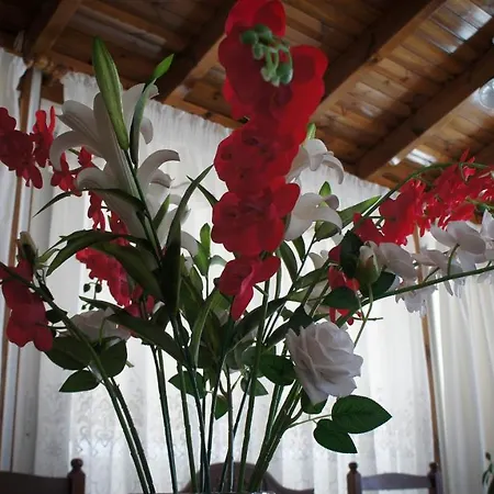 Stavros Amazing In The Centre Of 公寓 科斯镇