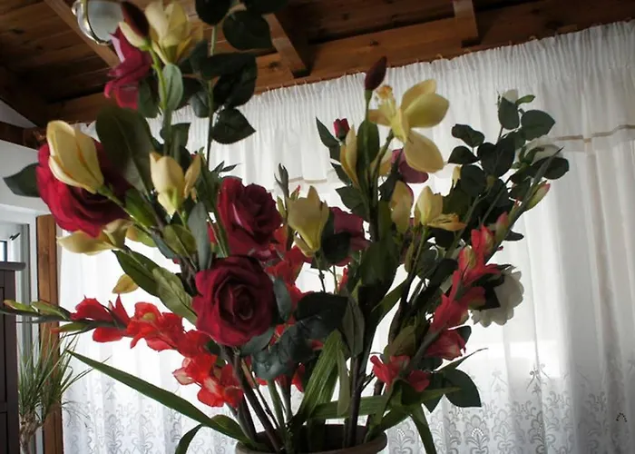 Stavros Amazing In The Centre Of Apartamento Cós