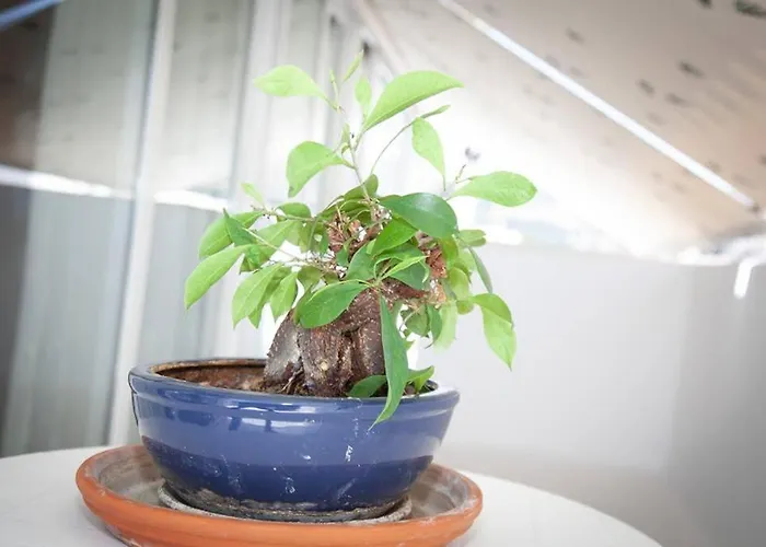 Stavros Amazing In The Centre Of