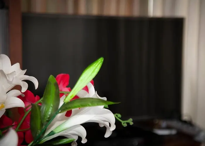 Apartamento Stavros Amazing In The Centre Of Cós