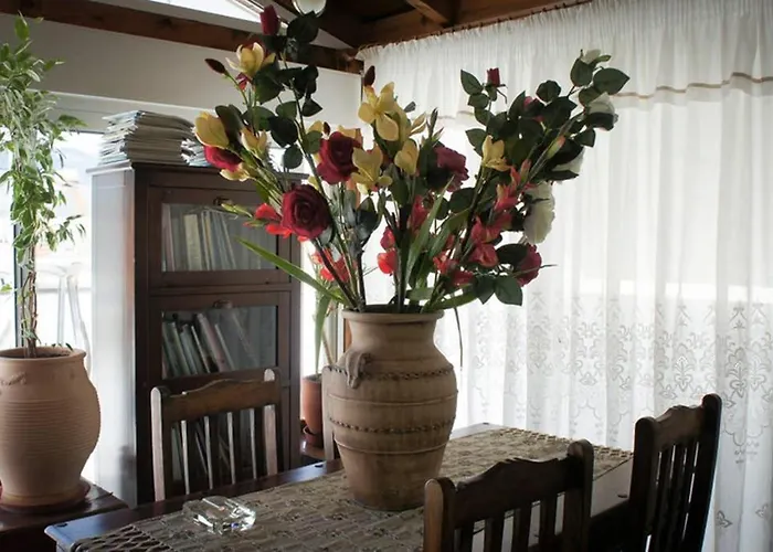 Stavros Amazing In The Centre Of Cós