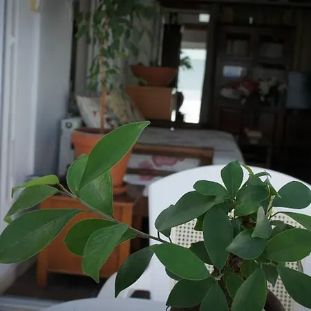 Stavros Amazing In The Centre Of Città di Kos