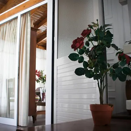 Stavros Amazing In The Centre Of