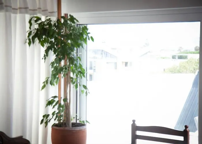 Stavros Amazing In The Centre Of * コス・タウン