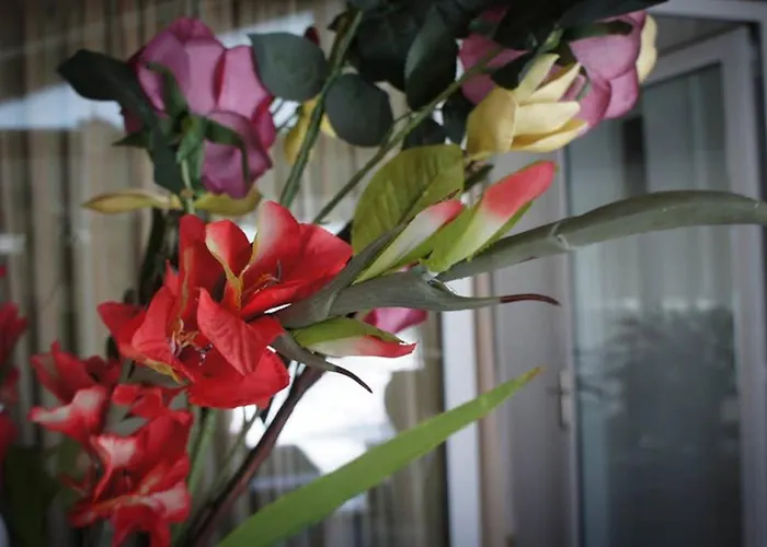 Stavros Amazing In The Centre Of * コス・タウン